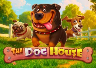 ป๊อกเด้ง The Dog House ทดลองเล่นฟรี